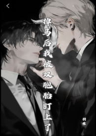 掉马后我被双胞胎盯上了(兄弟丼) 掉马后我被双胞胎盯上了(兄弟丼)